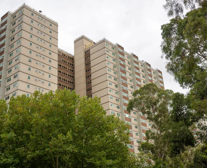 Image of 95 Napier Street, taken through the local trees.