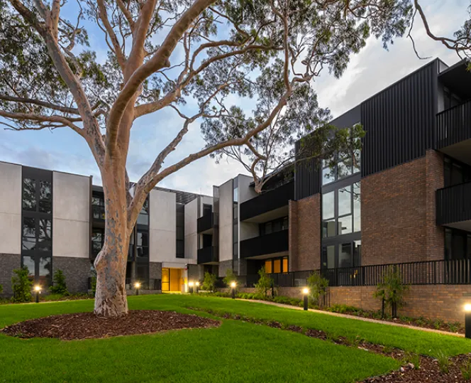 Photo of outdoor area surround large tree at Dunlop Avenue, Ascot Vale 