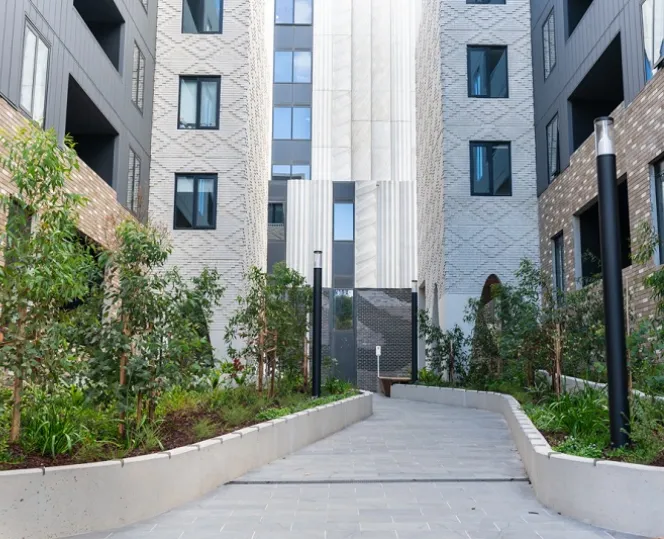 An image of the main thoroughfare linking Kirner Street to Haines Street, lined with greenery and buildings on both sides.