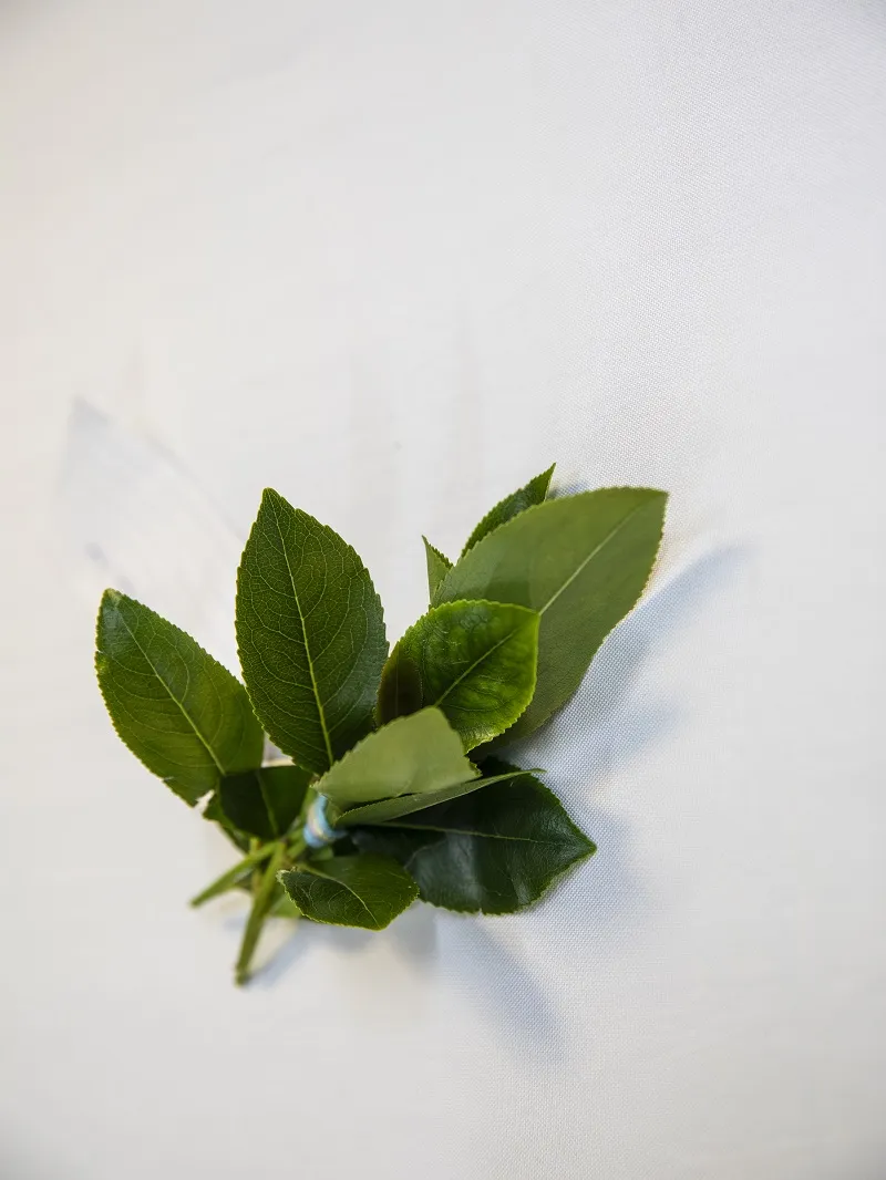 Image of Community celebrating Nga's– Healthy Herbs