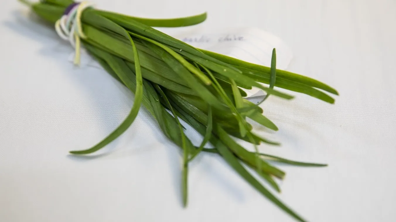 Image of Community celebrating Nga's– Healthy Herbs