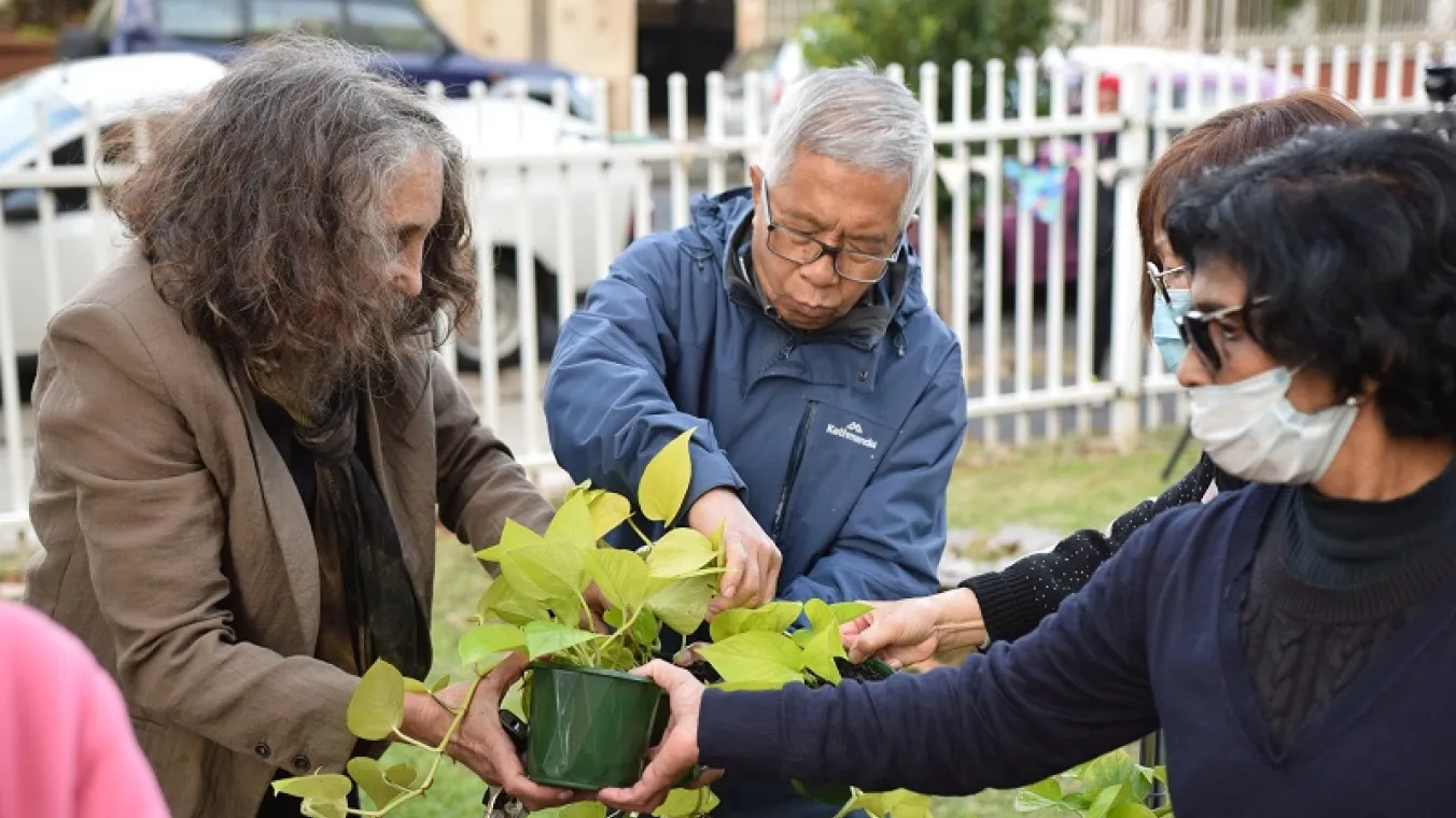 Image of community together doing plantation 