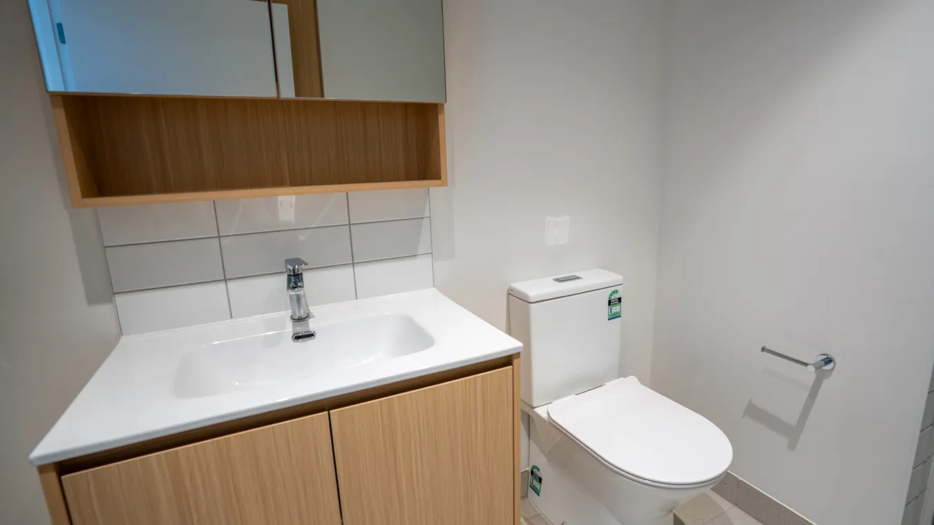 Image of toilet with vanity washbasin and mirror above it